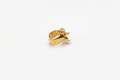 Anello pantera