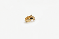 Anello lupo