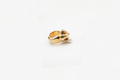 Anello orso