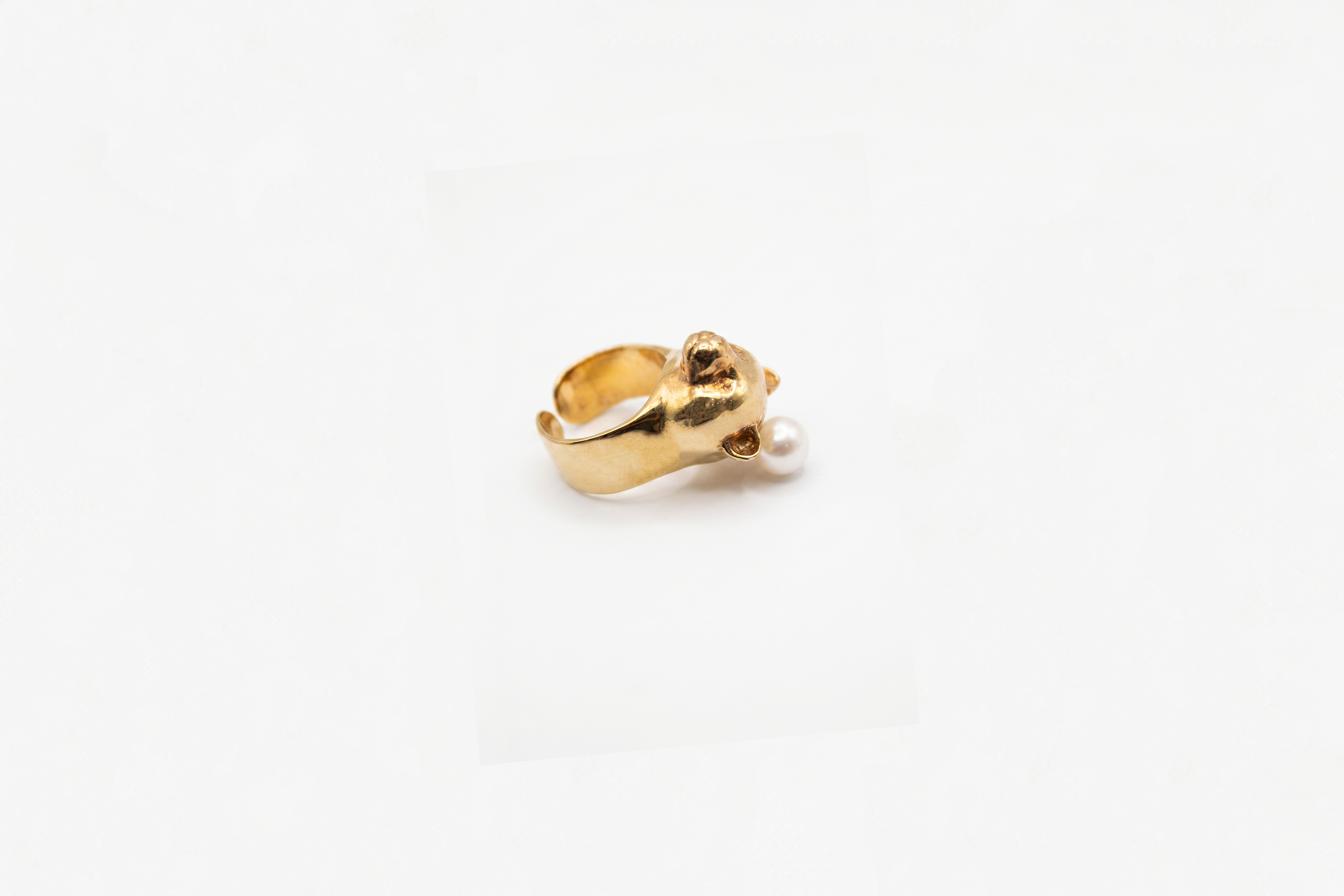 Anello orso