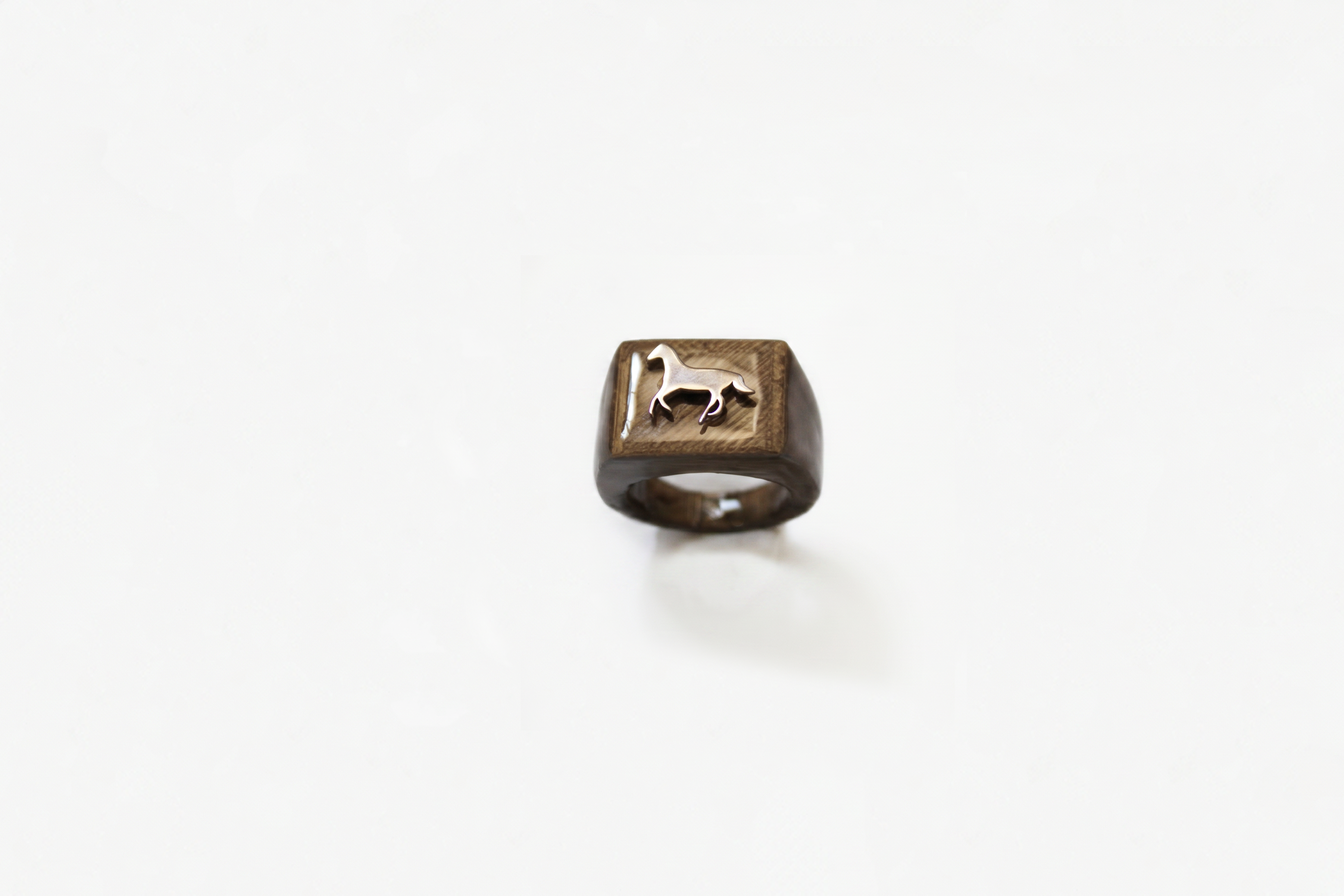 Anello cavallo