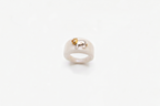 Anello leone